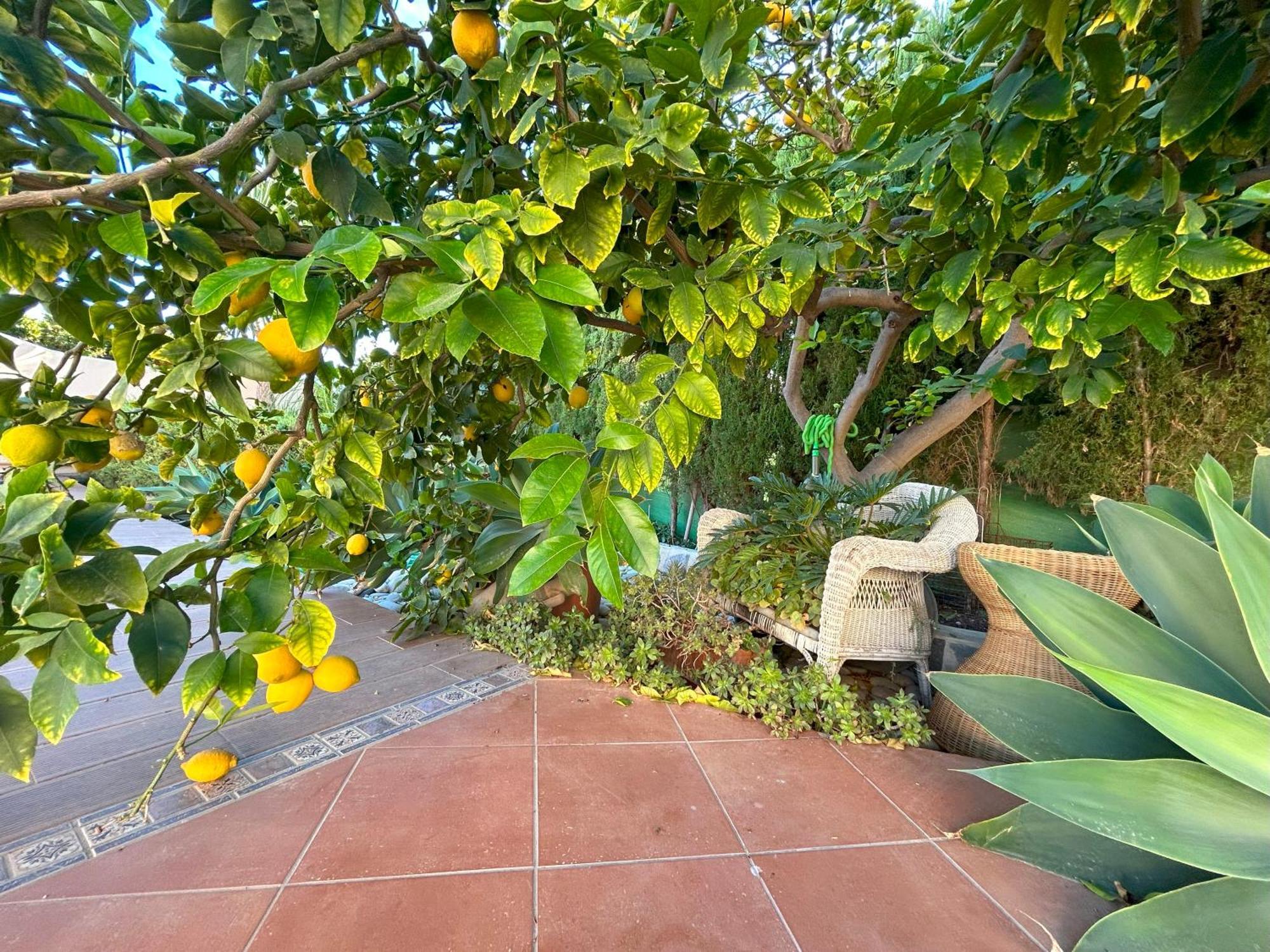 Casa Luna Llena Calpe Exteriör bild